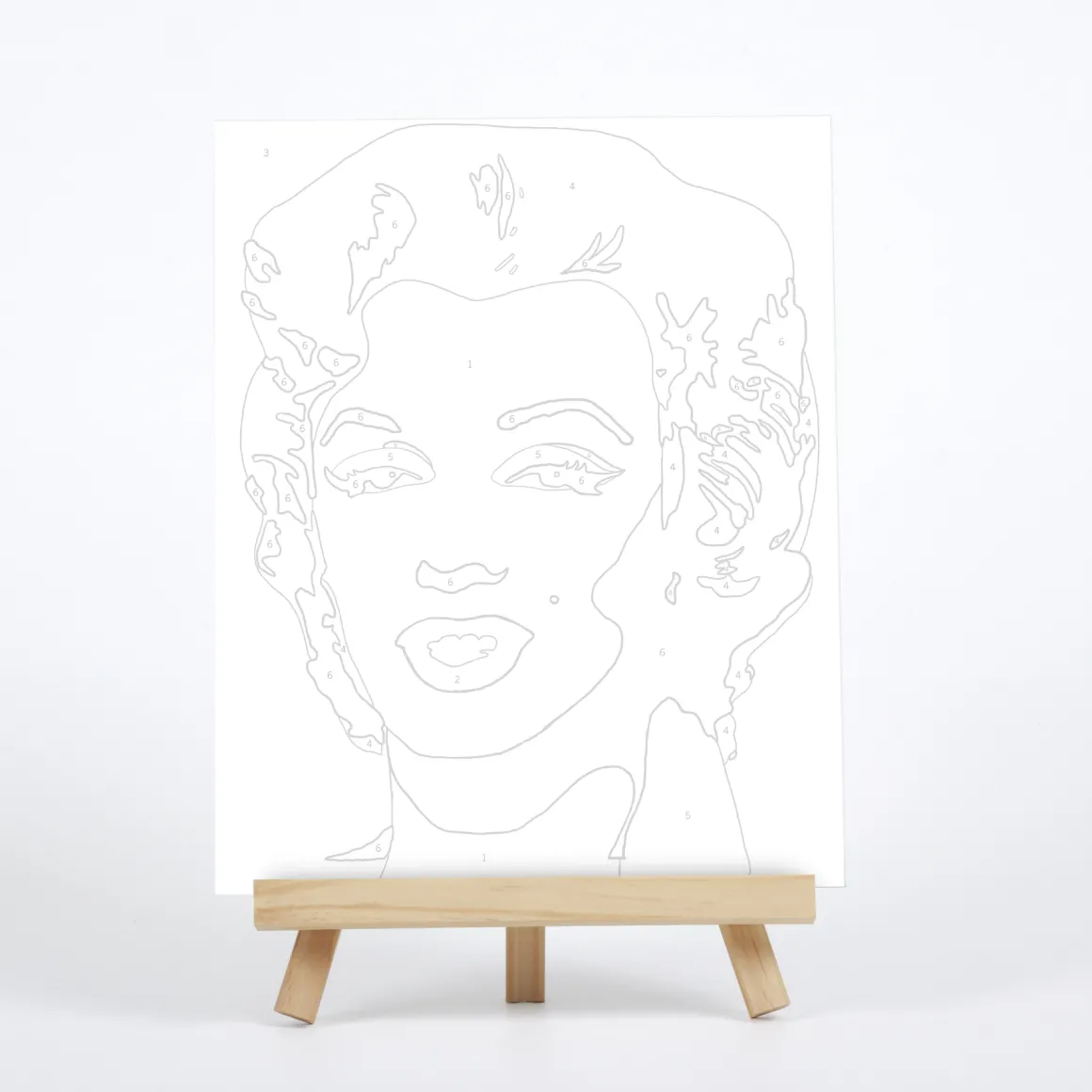 Andy Warhol Marilyn Paint By Number Kit