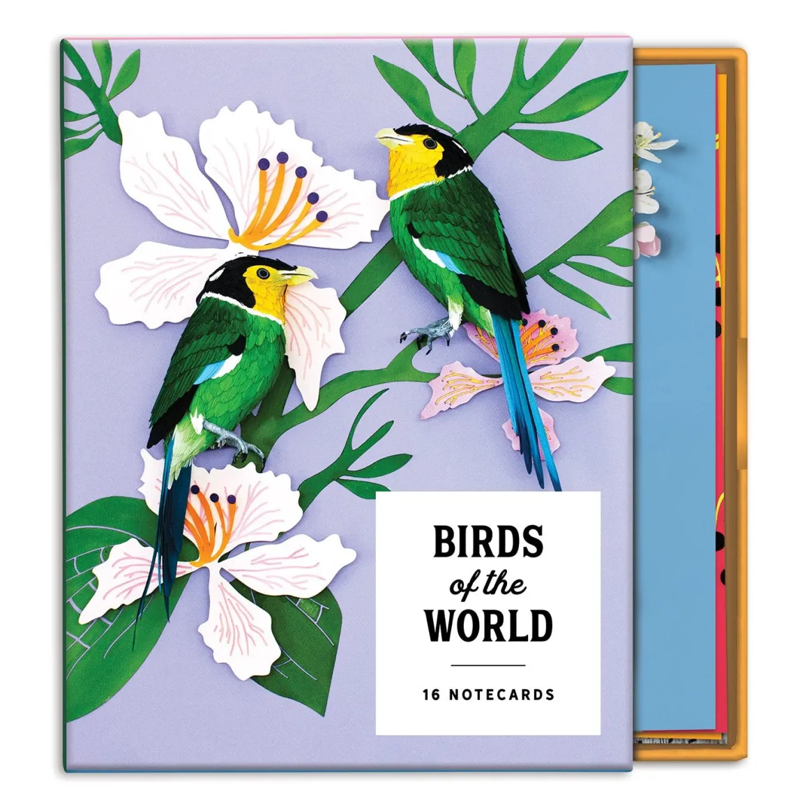 Birds of the World Greeting Assortment Notecard Set