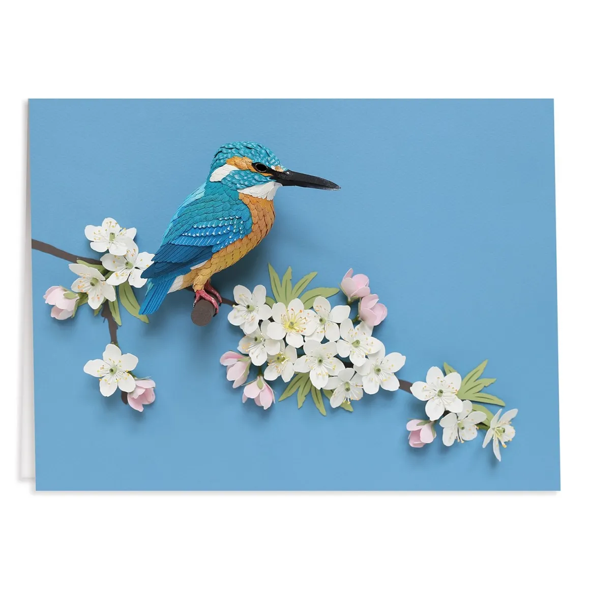Birds of the World Greeting Assortment Notecard Set