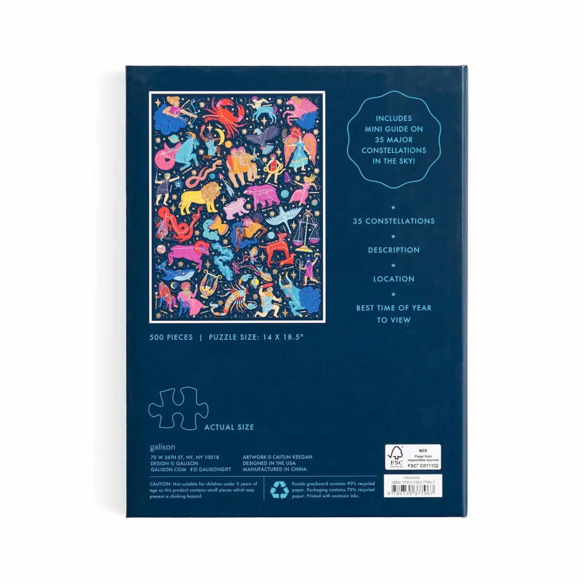 Constellations 101: Stargazing 500 Piece Book Puzzle
