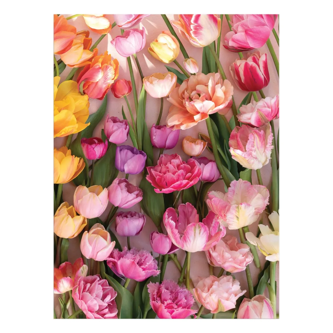 Ephemeral Tulips 1000 Piece Puzzle