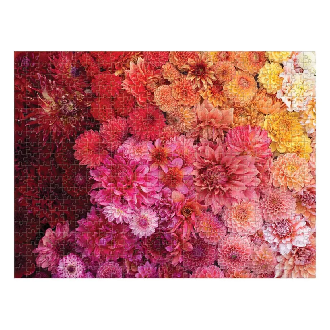 Floret Farm's Cut Flower Garden Double-Sided 500 Piece Jigsaw Puzzle