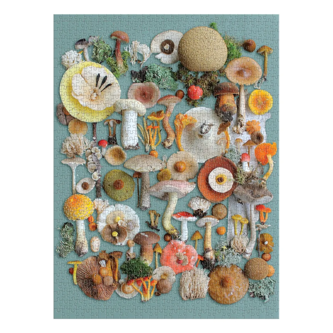 Foraged 1000 Piece Puzzle
