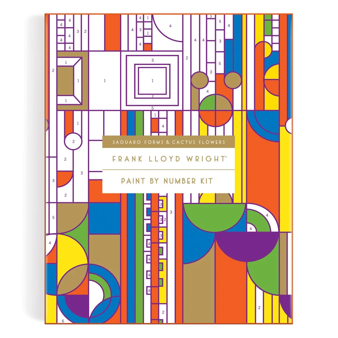 Frank Lloyd Wright Saguaro Cactus and Forms Paint By Number Kit
