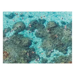 Gray Malin The Beach Double-Sided 500 Piece Jigsaw Puzzle