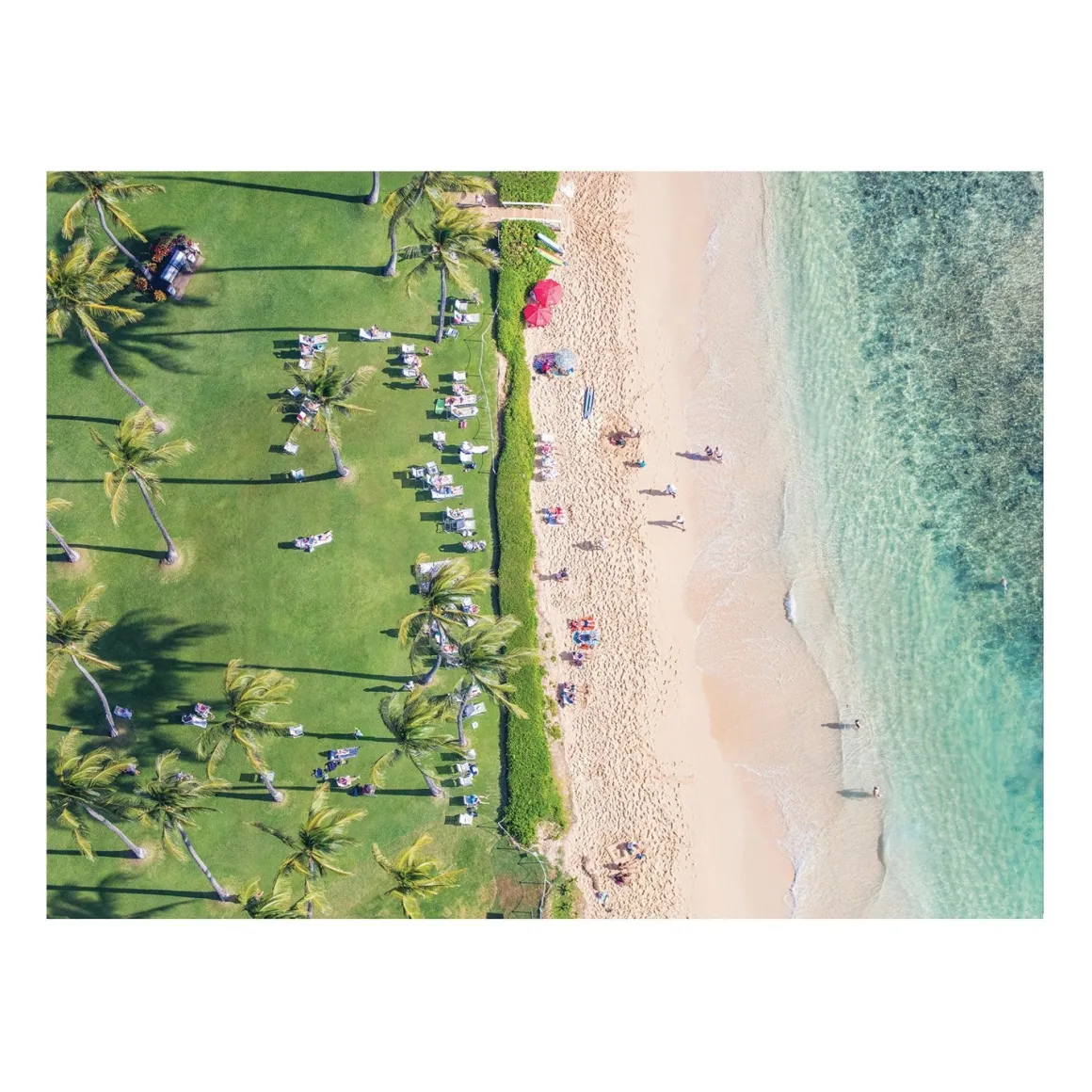 Gray Malin The Hawaii Beach Double-Sided 500 Piece Jigsaw Puzzle
