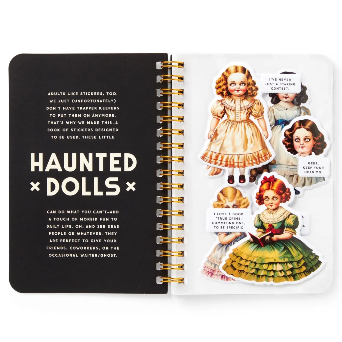 Haunted Dolls Sticker Book