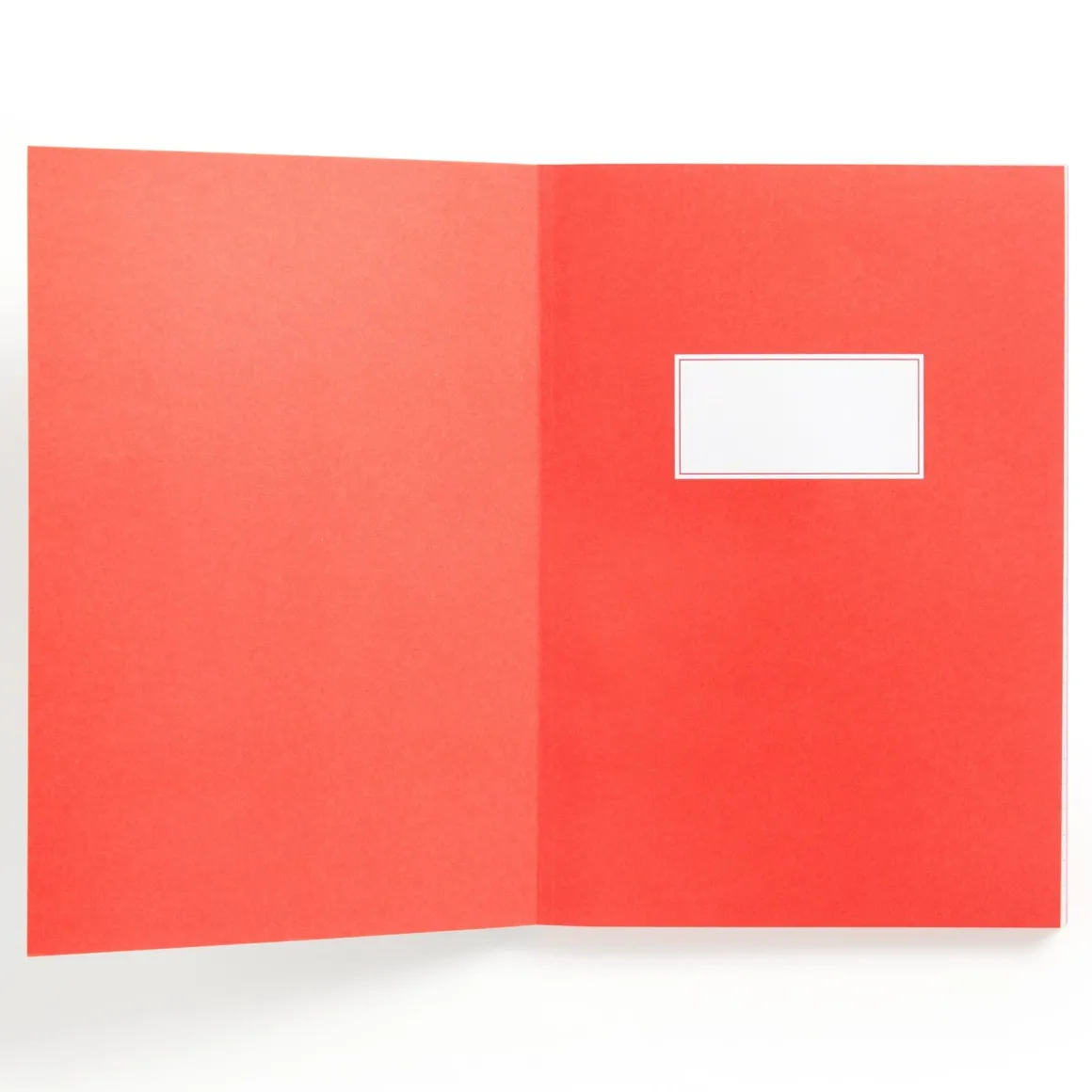 I Read Banned Books A5 Journal