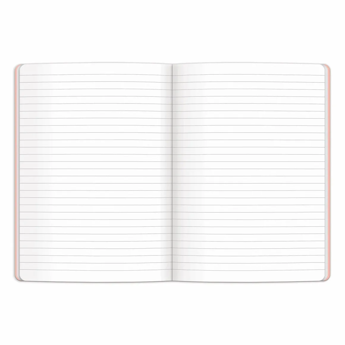 Joy Laforme Spring Street Writers Notebook Set