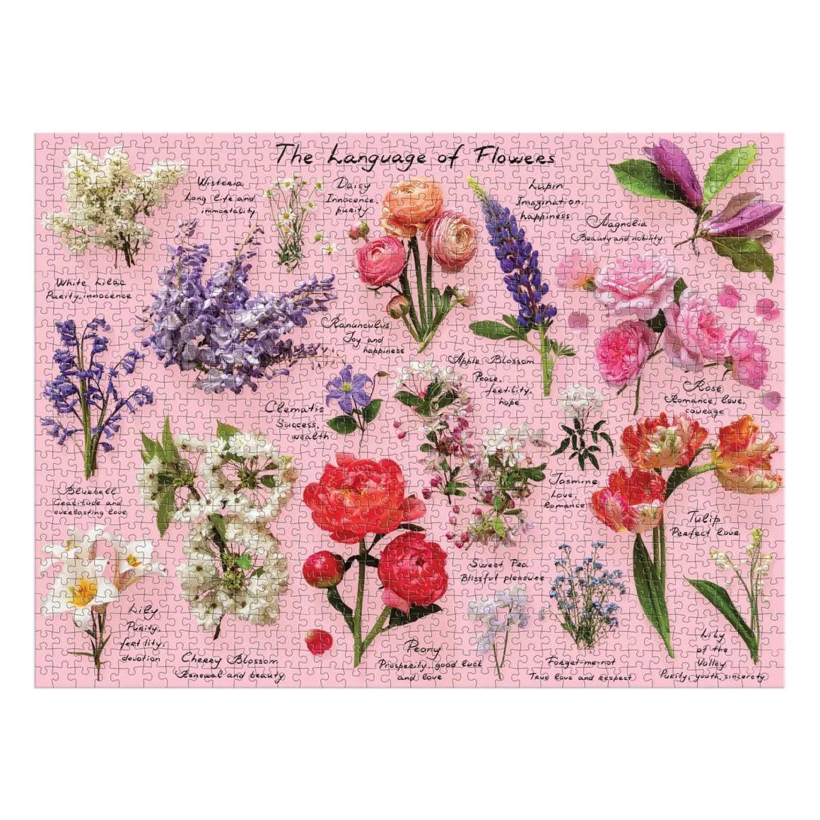 Language of Flowers 1000 Piece Puzzle