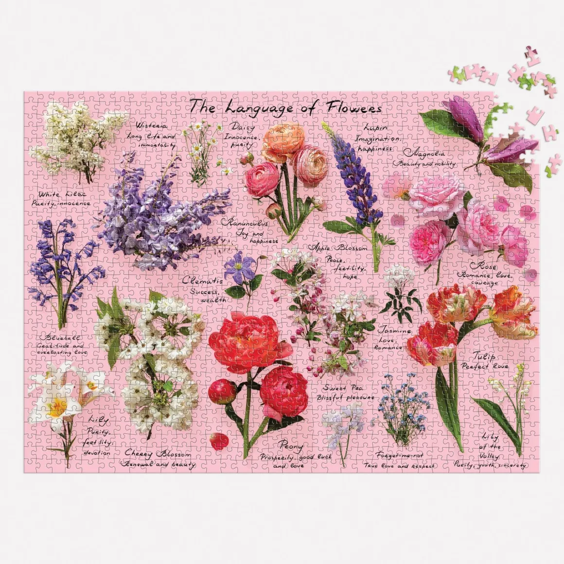 Language of Flowers 1000 Piece Puzzle