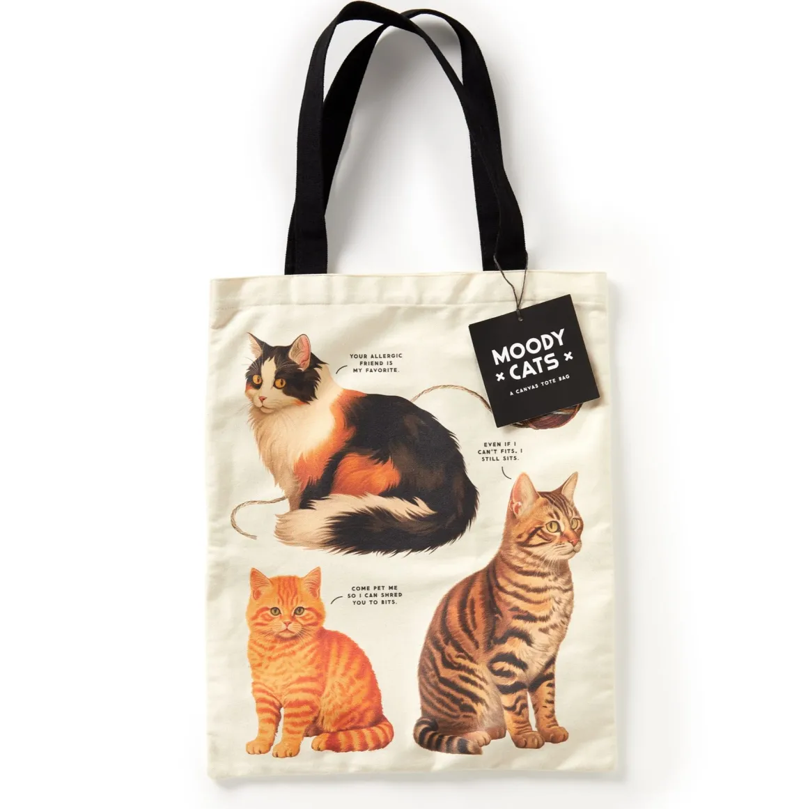 Moody Cats Canvas Tote