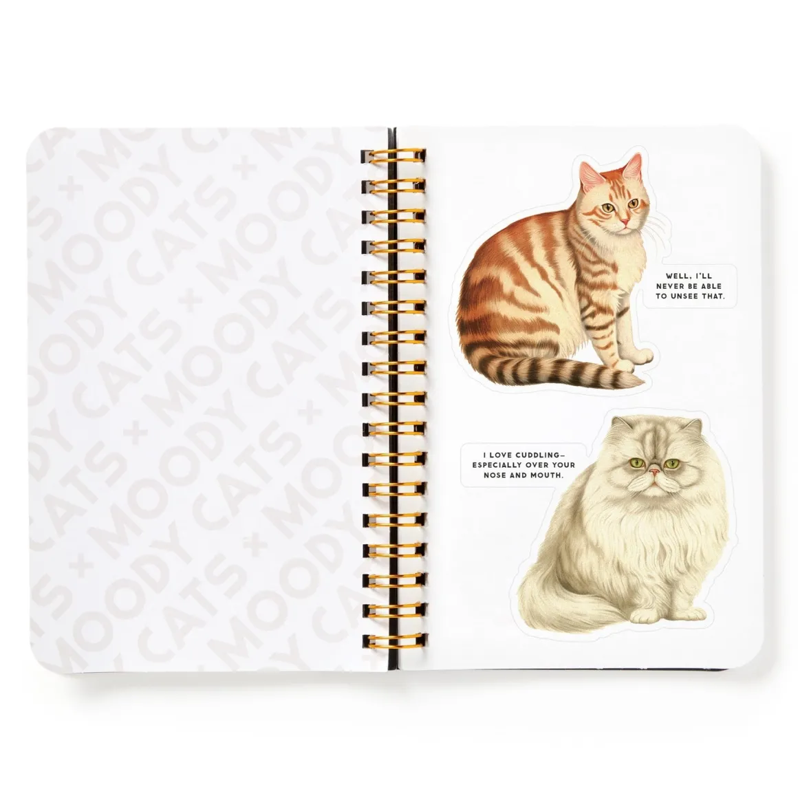 Moody Cats Sticker Book
