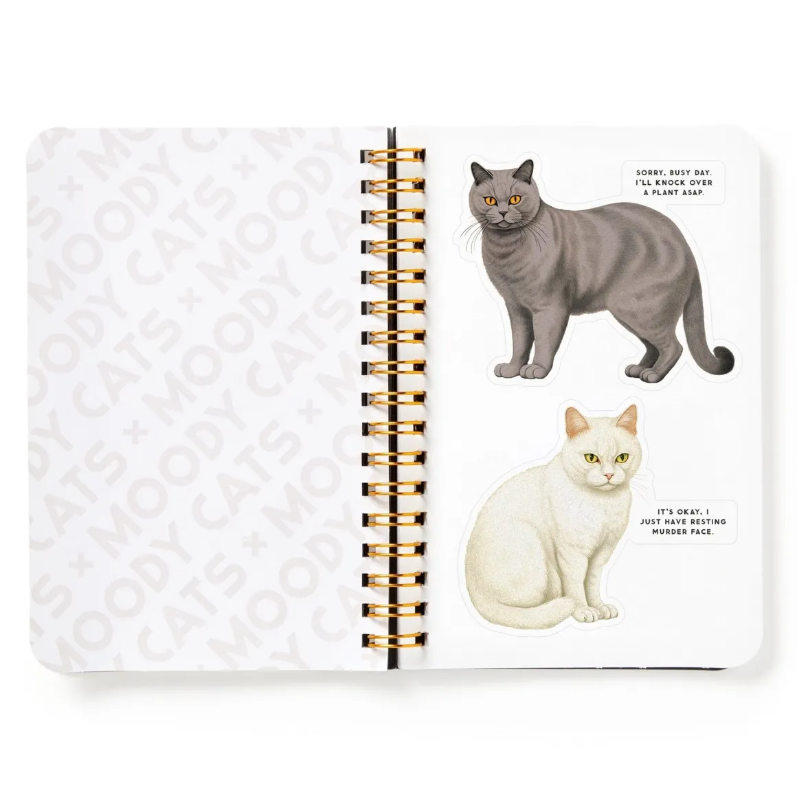 Moody Cats Sticker Book