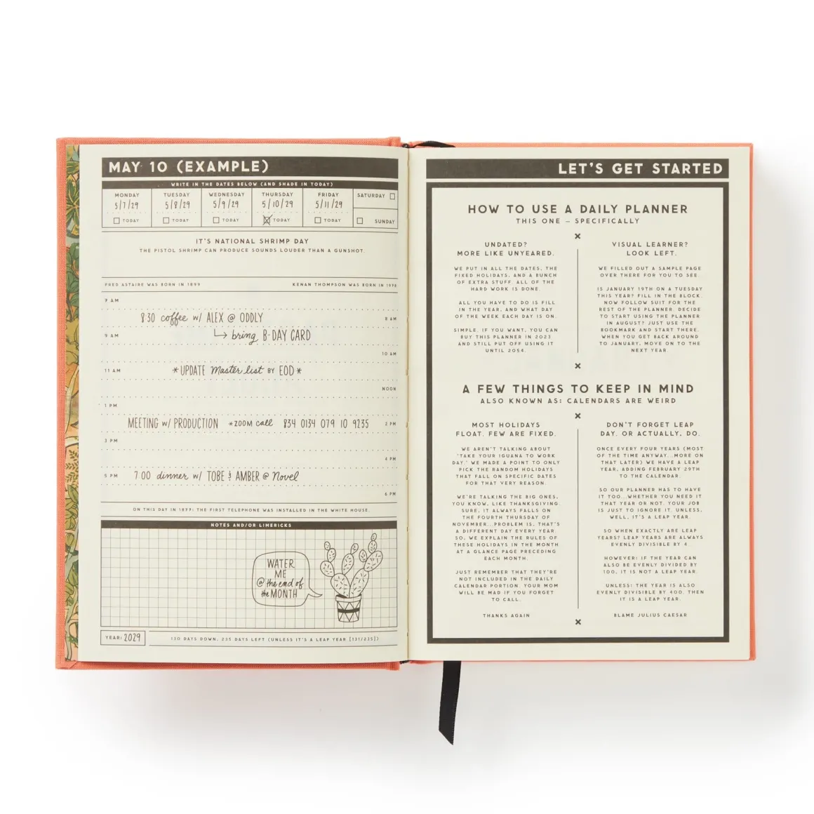 Part-Time Adult Undated Daily Planner