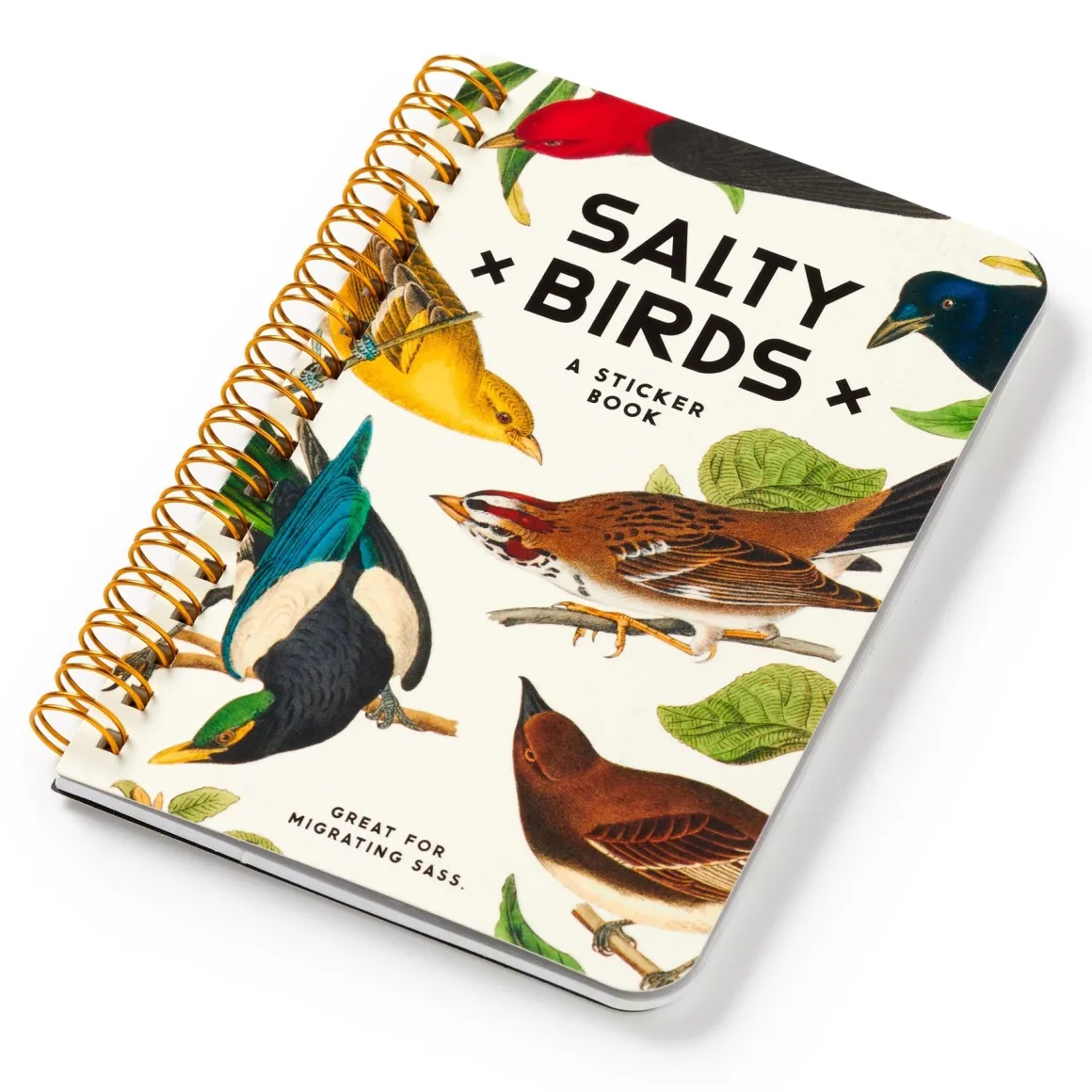 Salty Birds Sticker Book
