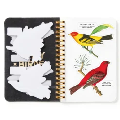 Salty Birds Sticker Book