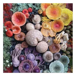 Shrooms in Bloom 500 Piece Puzzle
