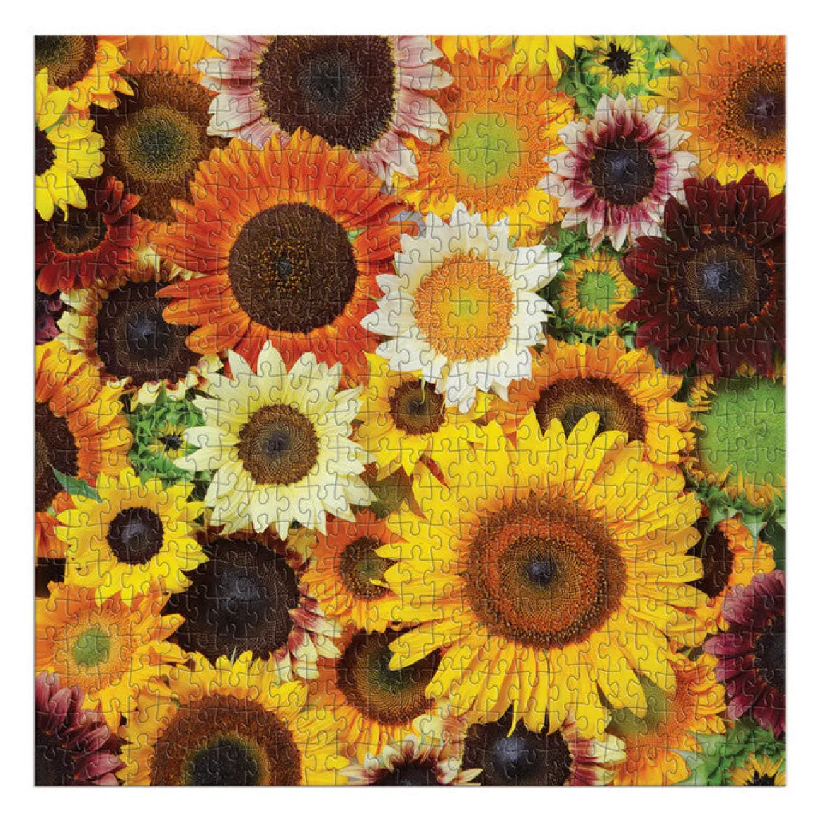 Sunflower Blooms 500 Piece Puzzle