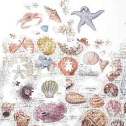 The Beachcomber's Companion 1000 Piece Jigsaw Puzzle With Shaped Pieces
