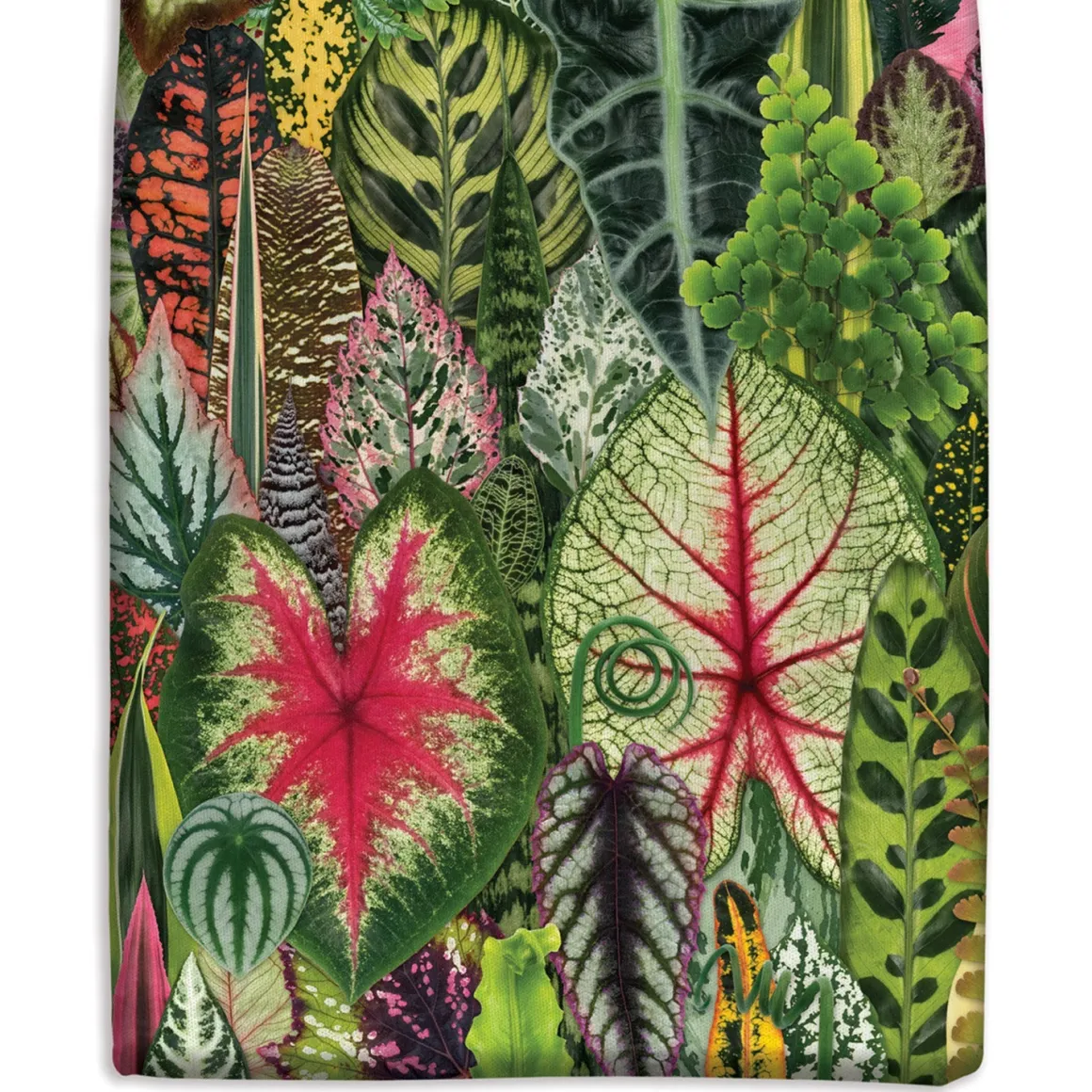 Troy Litten Houseplant Jungle Canvas Tote Bag