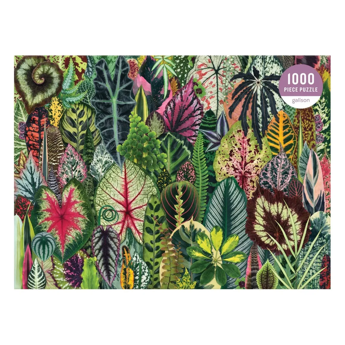 Troy Litten Houseplant Jungle 1000 Piece Jigsaw Puzzle