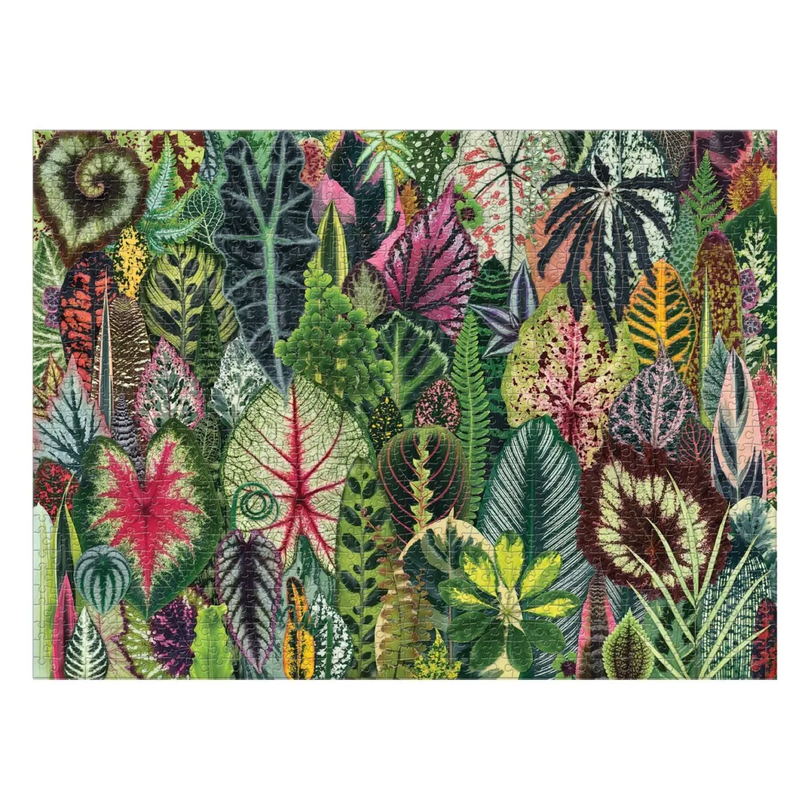 Troy Litten Houseplant Jungle 1000 Piece Jigsaw Puzzle