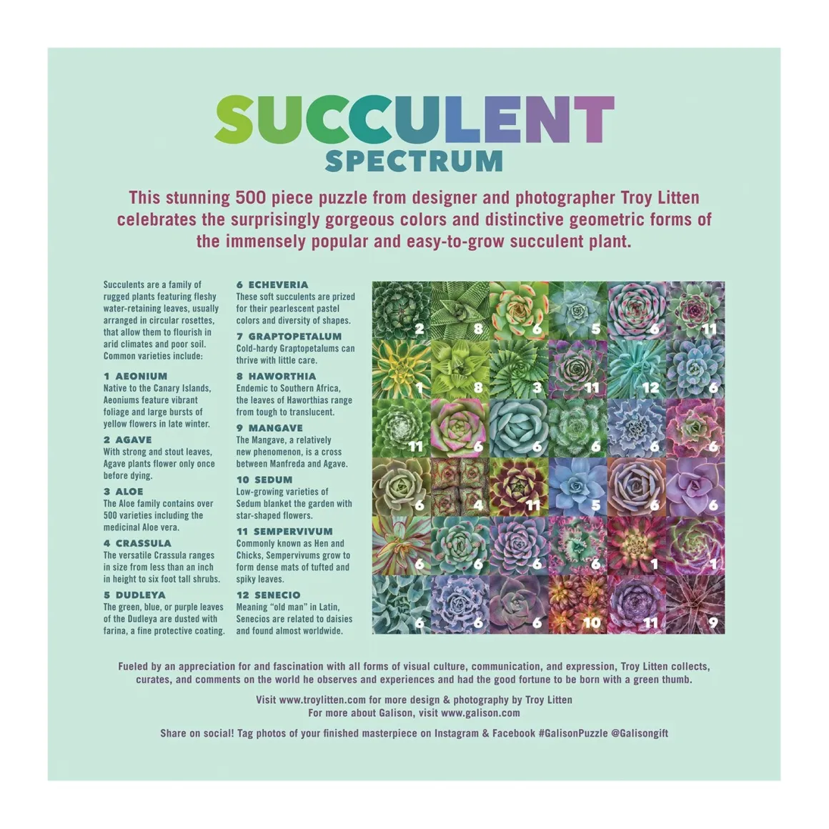 Troy Litten Succulent Spectrum 500 Piece Jigsaw Puzzle