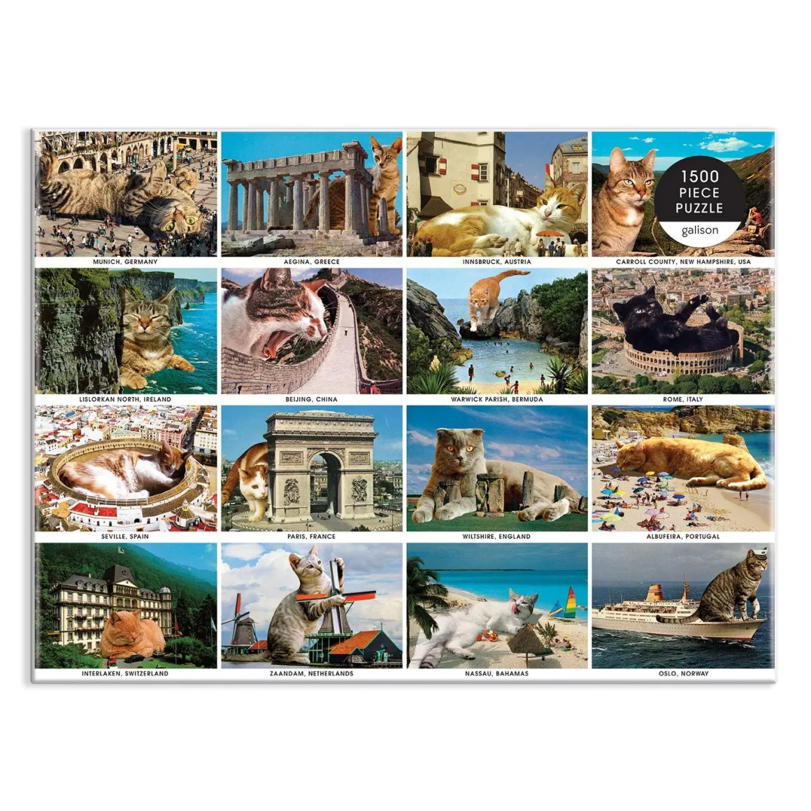 Vacation Cats 1500 Piece Puzzle