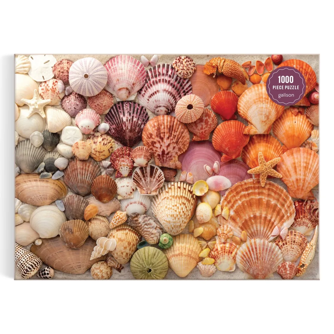 Vibrant Seashells 1000 Piece Puzzle