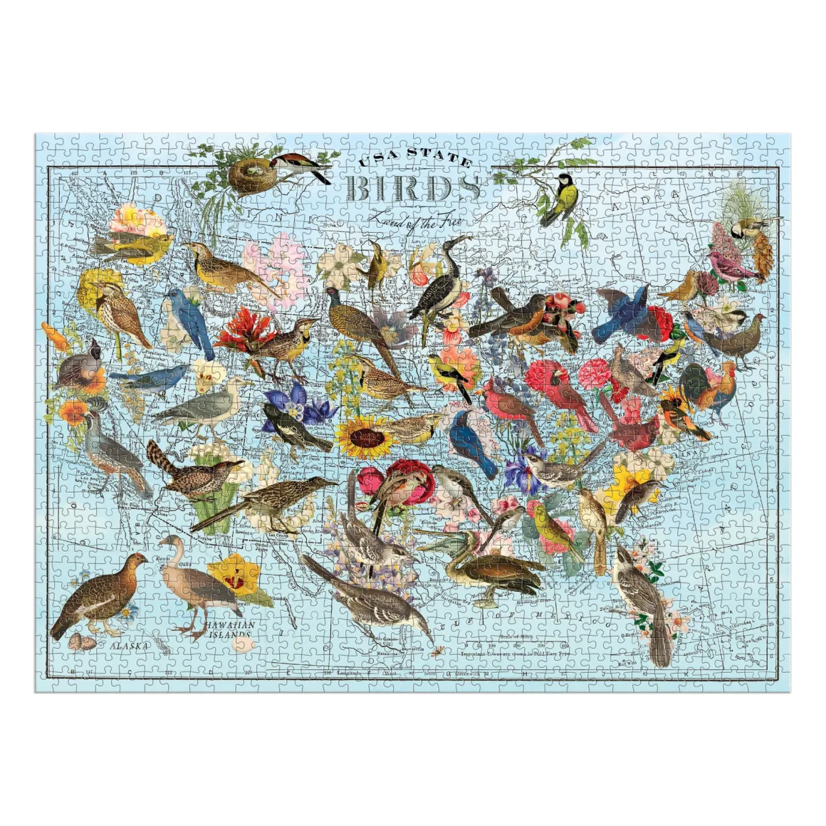 Wendy Gold State Birds 1000 Piece Puzzle