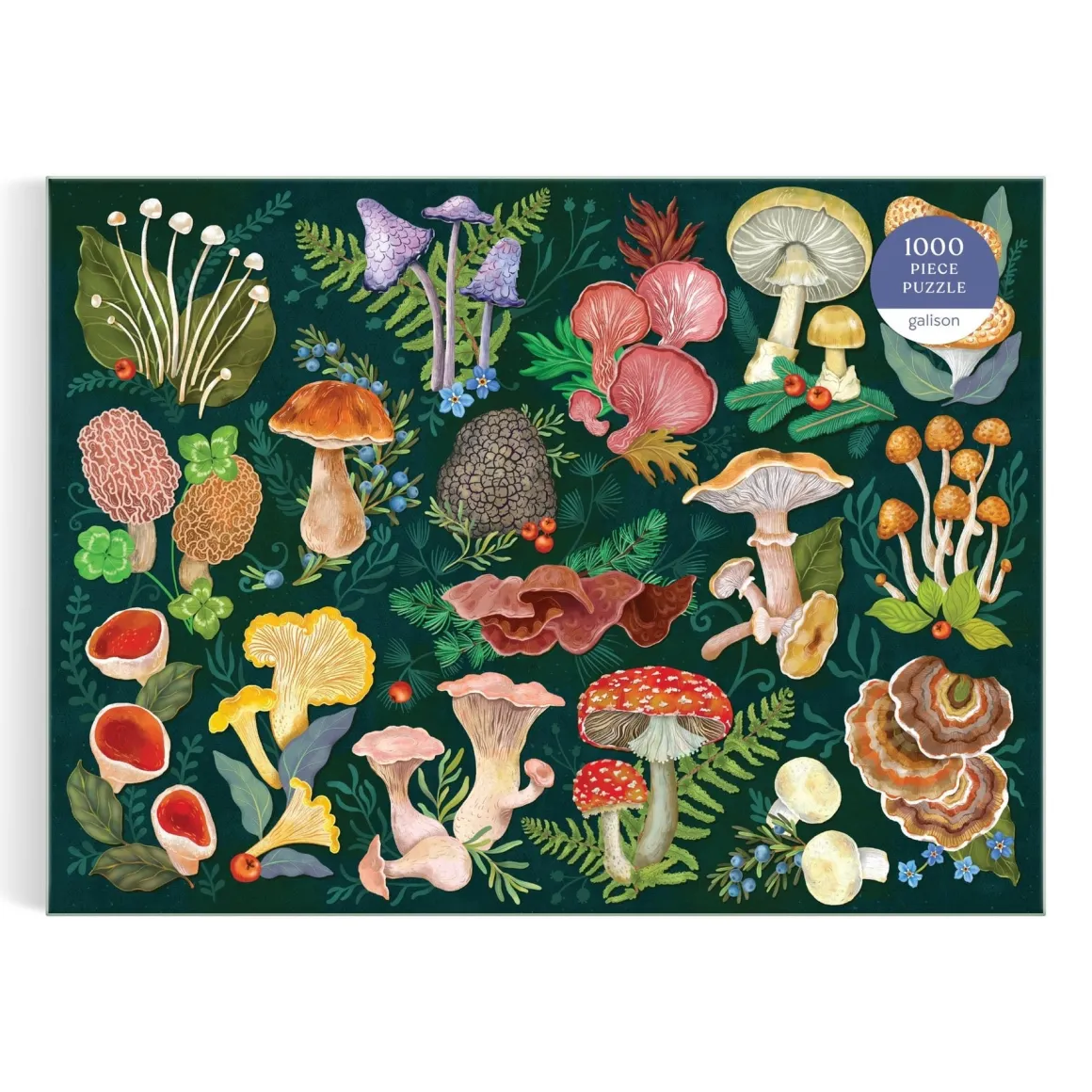 World of Mushrooms 1000 Piece Puzzle